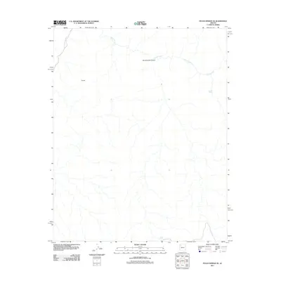 2011 Map of Peach Springs NE, 2011 Print
