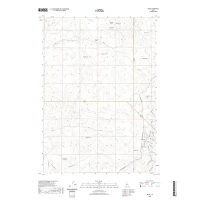 2020 Map of Pearl, 2020 Print