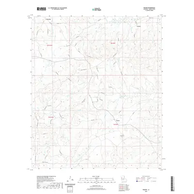 2020 Map of Peason, 2020 Print