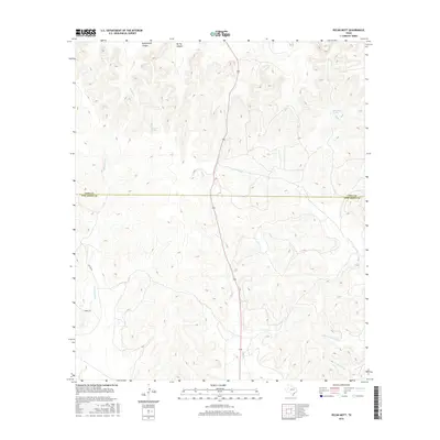 2016 Map of Pecan Mott, 2016 Print