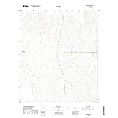 2019 Map of Pecan Mott, 2019 Print