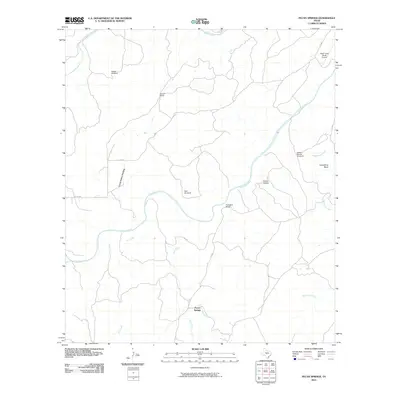 2010 Map of Pecan Springs, 2010 Print