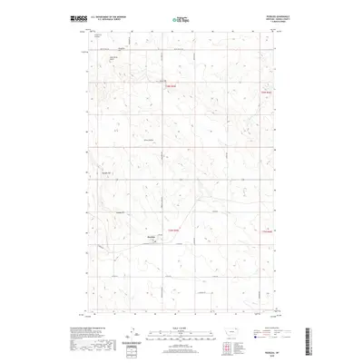 2020 Map of Peerless, 2020 Print