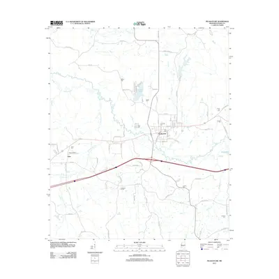 2012 Map of Pelahatchie, 2012 Print