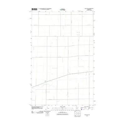 2010 Map of Pelan NE, 2010 Print