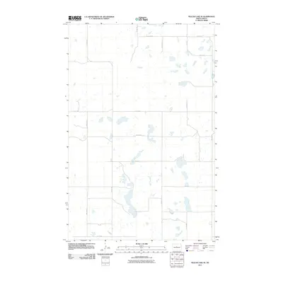 2011 Map of Pelican Lake SE, 2011 Print