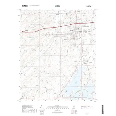 2020 Map of Pell City, 2020 Print