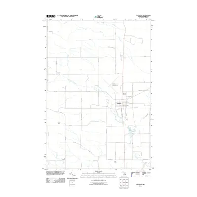 2011 Map of Pellston, 2011 Print