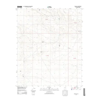 2013 Map of Pelon Hill, 2013 Print