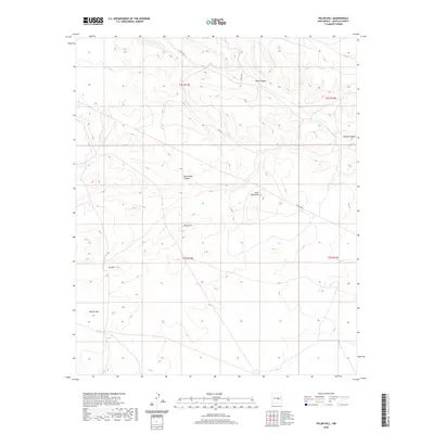 2020 Map of Pelon Hill, 2020 Print