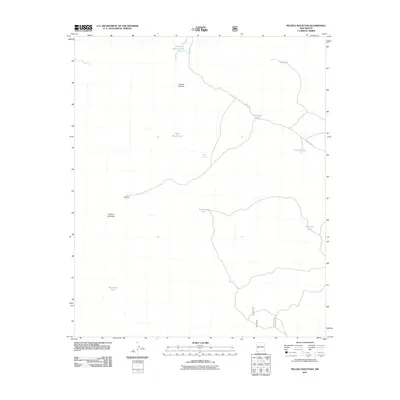 2011 Map of Pelona Mountain, 2011 Print