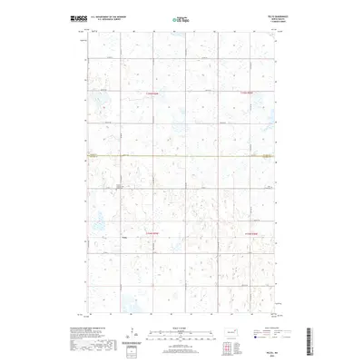 2020 Map of Pelto, 2020 Print