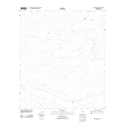 2011 Map of Penitas Hills, 2011 Print