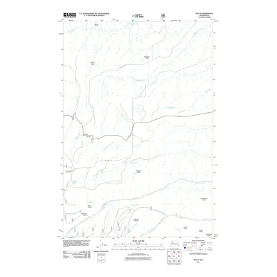 2011 Map of Peola, 2011 Print
