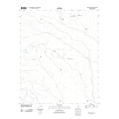 2011 Map of Pepper Canyon, 2011 Print