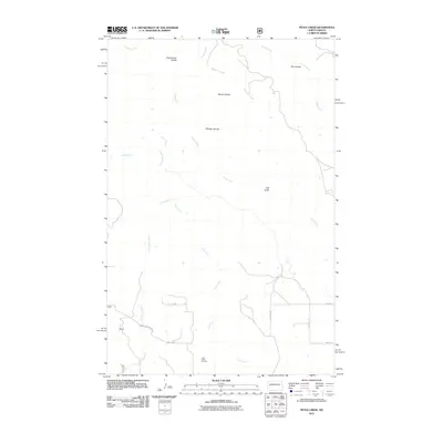 2011 Map of Petes Creek, 2011 Print
