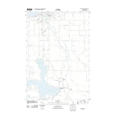 2011 Map of Petoskey, 2011 Print
