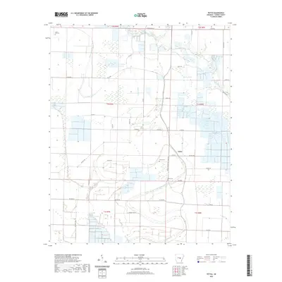 2020 Map of Pettus, 2020 Print