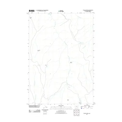 2011 Map of Peyote Point, 2011 Print