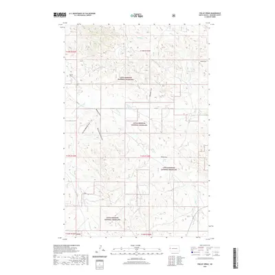 2020 Map of Phillip Spring, 2020 Print