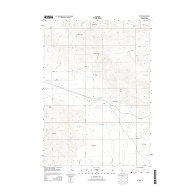 2013 Map of Picabo, 2013 Print