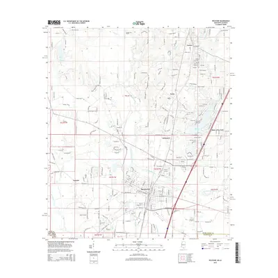 2015 Map of Picayune, 2015 Print