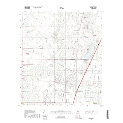 2018 Map of Picayune, 2018 Print