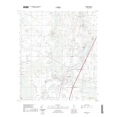 2020 Map of Picayune, 2020 Print