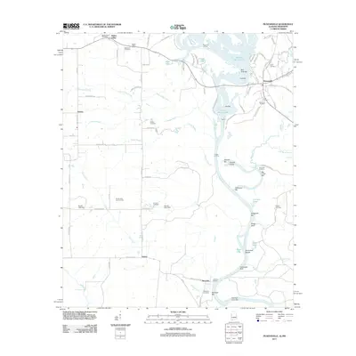 2011 Map of Pickensville, 2011 Print