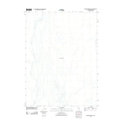 2011 Map of Pidgeon Spring SE, 2011 Print