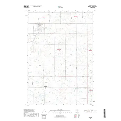 2019 Map of Pierz, 2019 Print