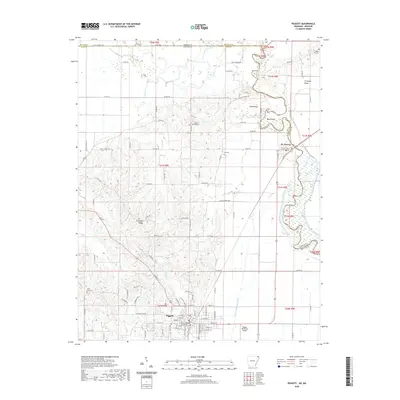 2020 Map of Piggott, 2020 Print