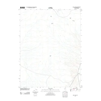 2011 Map of Pilot Cone, 2011 Print
