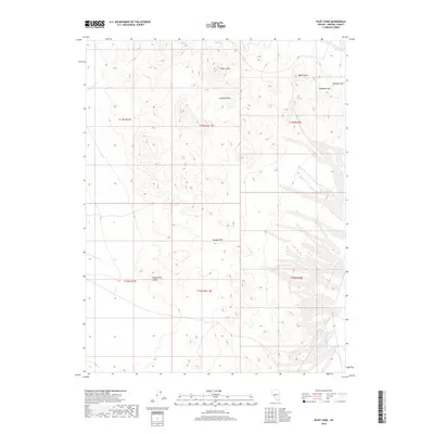 2018 Map of Pilot Cone, 2018 Print