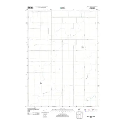 2010 Map of Pilot Grove, 2010 Print