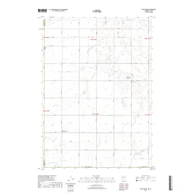 2019 Map of Pilot Grove, 2019 Print