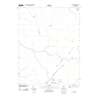 2011 Map of Pilot Knob, 2011 Print