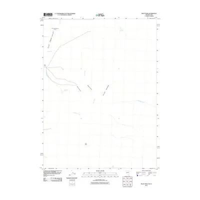 2011 Map of Pilot Peak, 2011 Print