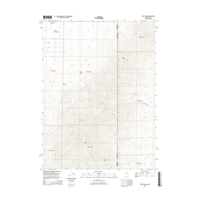 2014 Map of Pilot Peak, 2014 Print
