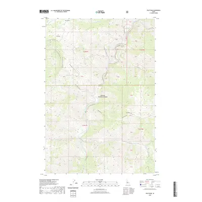 2020 Map of Pilot Peak, 2020 Print