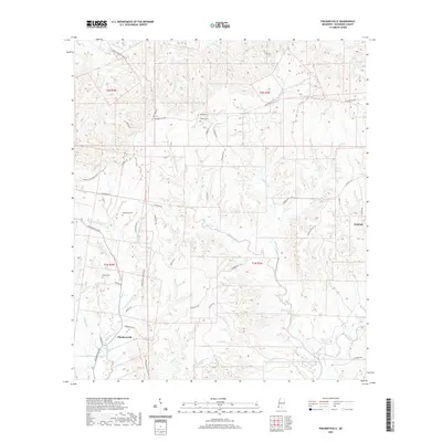 2020 Map of Pinckneyville, 2020 Print