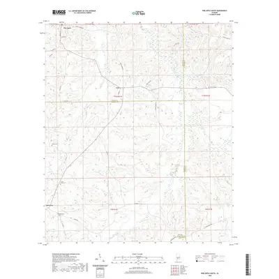 2020 Map of Pine Apple South, 2020 Print