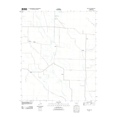 2011 Map of Pine City, 2011 Print