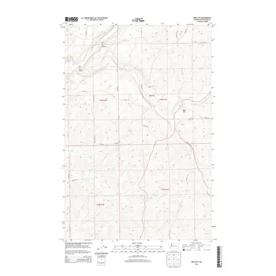 2014 Map of Pine City, 2014 Print