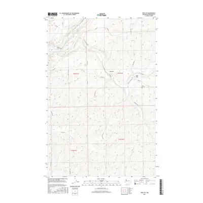2017 Map of Pine City, 2017 Print