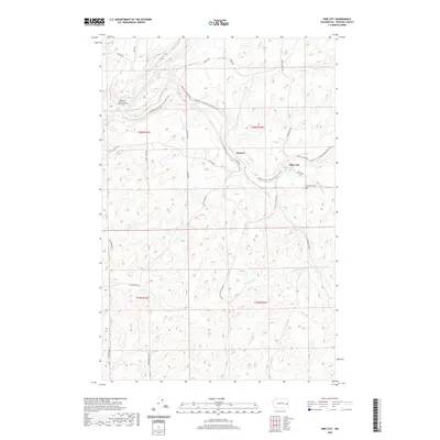 2020 Map of Pine City, 2020 Print