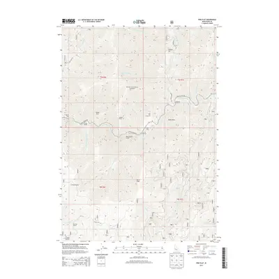 2013 Map of Pine Flat, 2013 Print