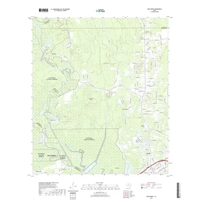 2019 Map of Pine Forest, 2019 Print