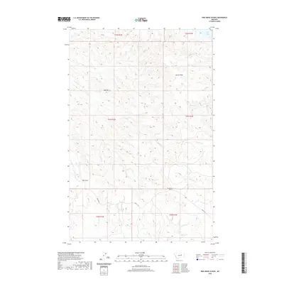 2020 Map of Pine Grove School, 2020 Print