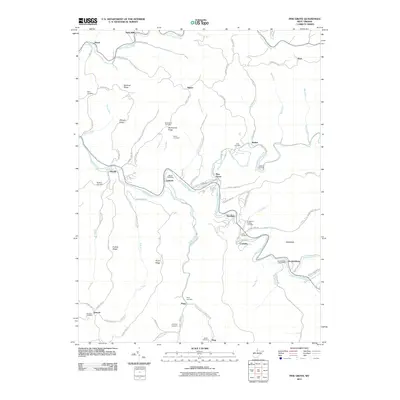 2011 Map of Pine Grove, 2011 Print